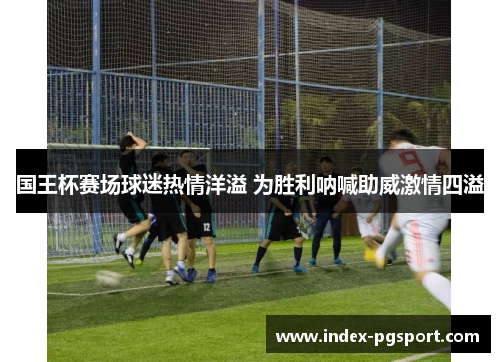 国王杯赛场球迷热情洋溢 为胜利呐喊助威激情四溢