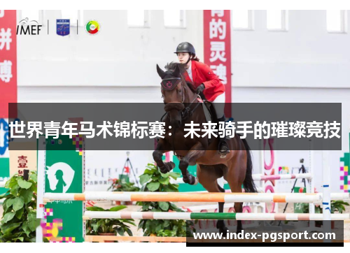 世界青年马术锦标赛：未来骑手的璀璨竞技
