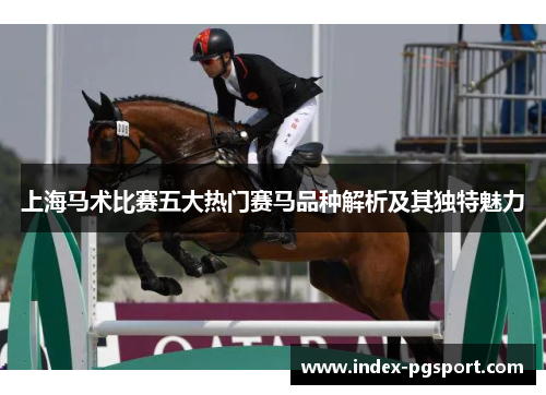 上海马术比赛五大热门赛马品种解析及其独特魅力