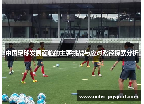 中国足球发展面临的主要挑战与应对路径探索分析