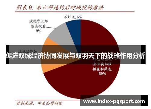 促进双城经济协同发展与双羽天下的战略作用分析