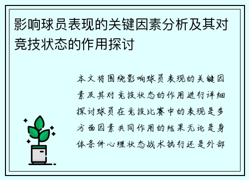 影响球员表现的关键因素分析及其对竞技状态的作用探讨