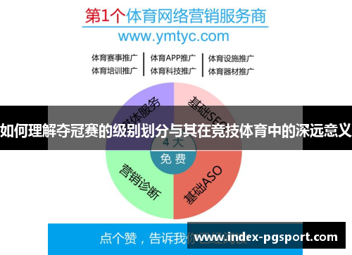 如何理解夺冠赛的级别划分与其在竞技体育中的深远意义