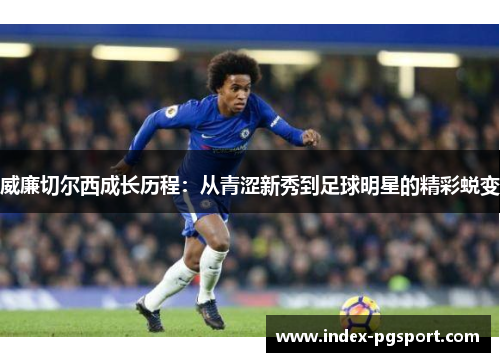 威廉切尔西成长历程：从青涩新秀到足球明星的精彩蜕变