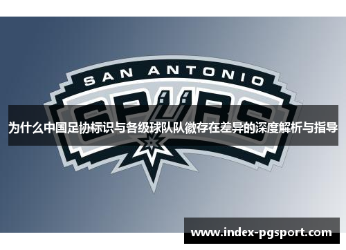 为什么中国足协标识与各级球队队徽存在差异的深度解析与指导