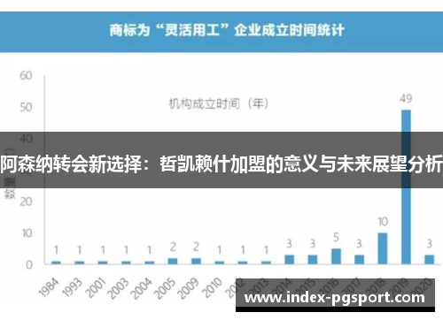 阿森纳转会新选择：哲凯赖什加盟的意义与未来展望分析