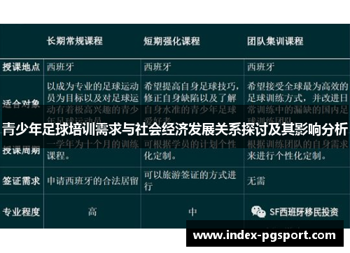 青少年足球培训需求与社会经济发展关系探讨及其影响分析